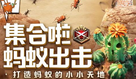 重生传说隐藏迷宫入口场景