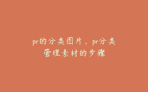 pr的分类图片,pr分类管理素材的步骤