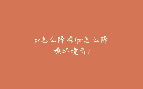pr怎么降噪(pr怎么降噪环境音)