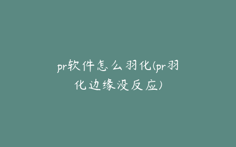 pr软件怎么羽化(pr羽化边缘没反应)