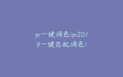 pr一键调色(pr2019一键匹配调色)