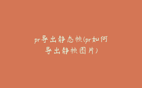 pr导出静态帧(pr如何导出静帧图片)