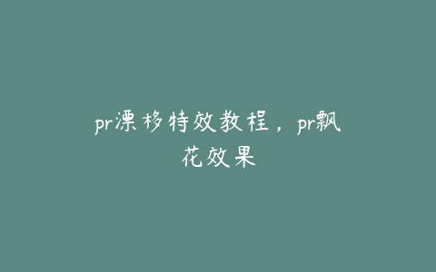 pr漂移特效教程,pr飘花效果