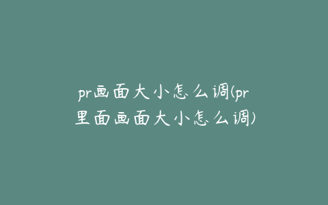 pr画面大小怎么调(pr里面画面大小怎么调)