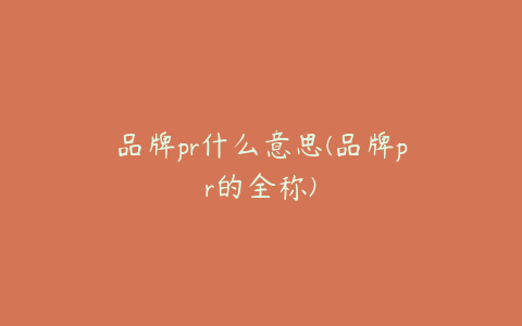 品牌pr什么意思(品牌pr的全称)