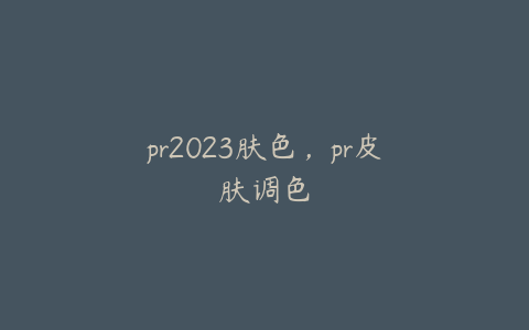pr2023肤色,pr皮肤调色