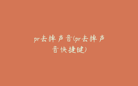 pr去掉声音(pr去掉声音快捷键)
