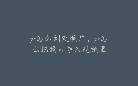 pr怎么到处照片,pr怎么把照片导入视频里