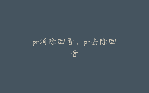 pr消除回音,pr去除回音