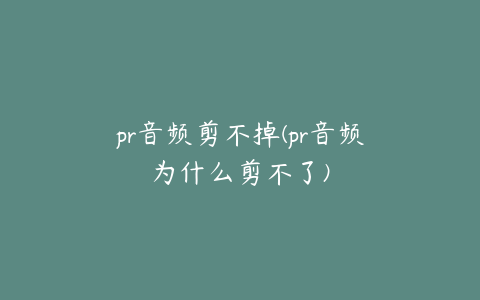 pr音频剪不掉(pr音频为什么剪不了)