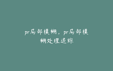 pr局部模糊,pr局部模糊处理追踪