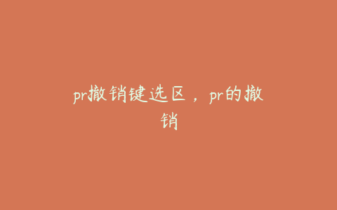 pr撤销键选区,pr的撤销