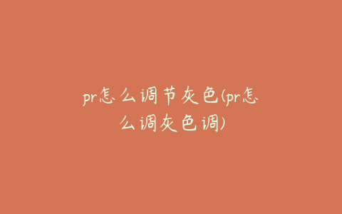 pr怎么调节灰色(pr怎么调灰色调)