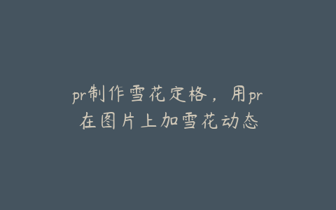 pr制作雪花定格,用pr在图片上加雪花动态