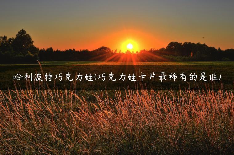 哈利波特巧克力蛙(巧克力蛙卡片最稀有的是谁)