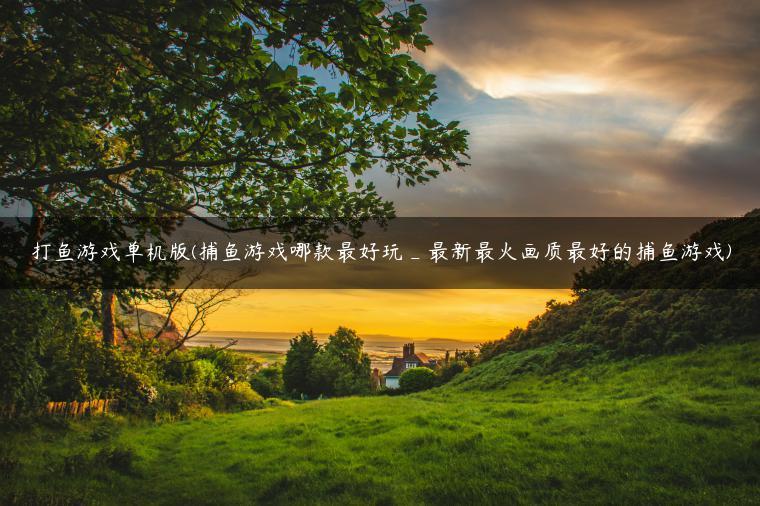 打鱼游戏单机版(捕鱼游戏哪款最好玩_最新最火画质最好的捕鱼游戏)
