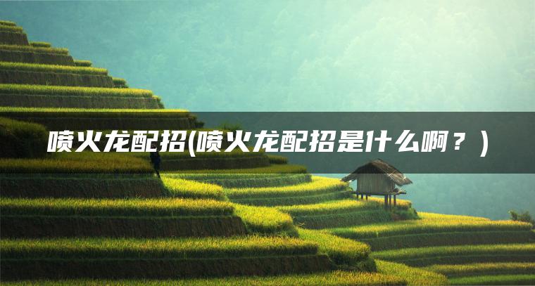 喷火龙配招(喷火龙配招是什么啊？)