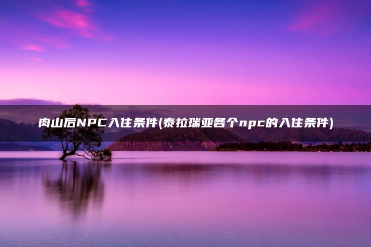 肉山后NPC入住条件(泰拉瑞亚各个npc的入住条件)