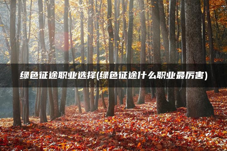 绿色征途职业选择(绿色征途什么职业最厉害)