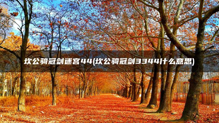 坎公骑冠剑迷宫44(坎公骑冠剑3344什么意思)
