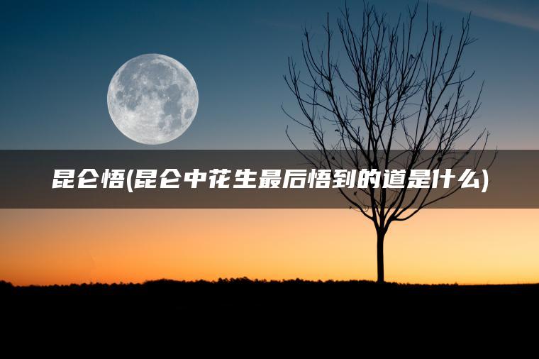 昆仑悟(昆仑中花生最后悟到的道是什么)
