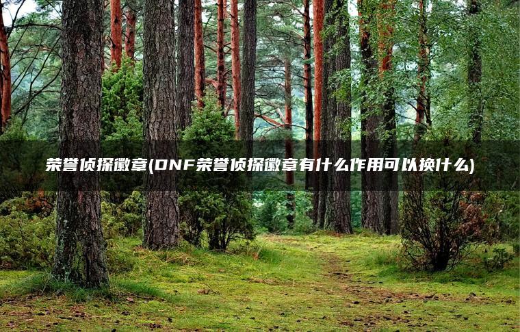 荣誉侦探徽章(DNF荣誉侦探徽章有什么作用可以换什么)