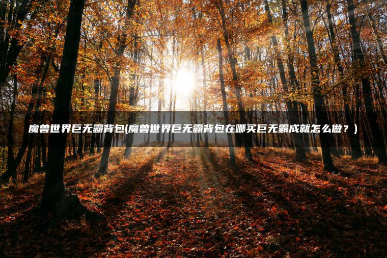魔兽世界巨无霸背包(魔兽世界巨无霸背包在哪买巨无霸成就怎么做？)