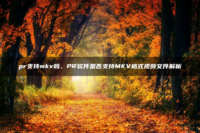 pr支持mkv吗、PR软件是否支持MKV格式视频文件解析