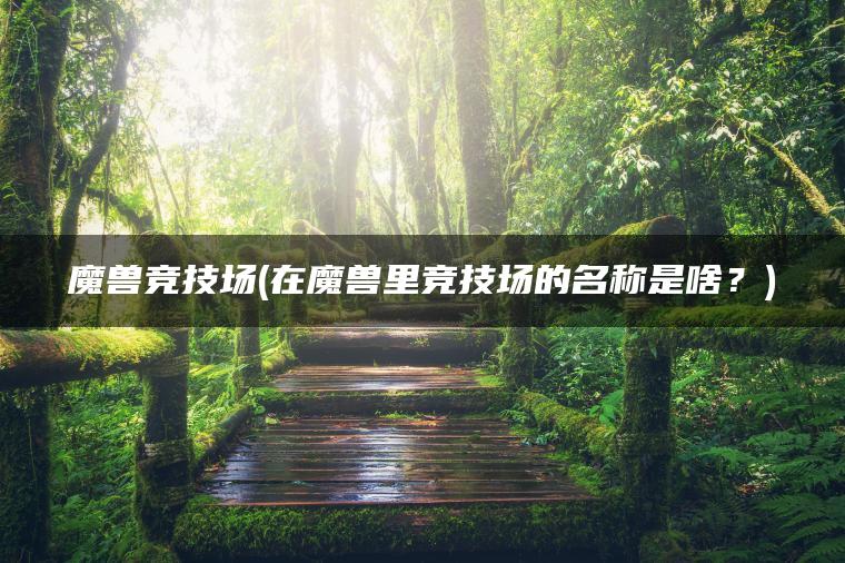 魔兽竞技场(在魔兽里竞技场的名称是啥？)