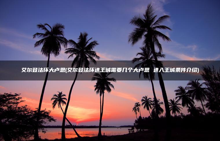 艾尔登法环大卢恩(艾尔登法环进王城需要几个大卢恩 进入王城条件介绍)