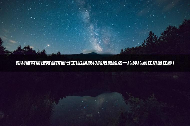 哈利波特魔法觉醒拼图寻宝(哈利波特魔法觉醒这一片碎片藏在拼图在哪)