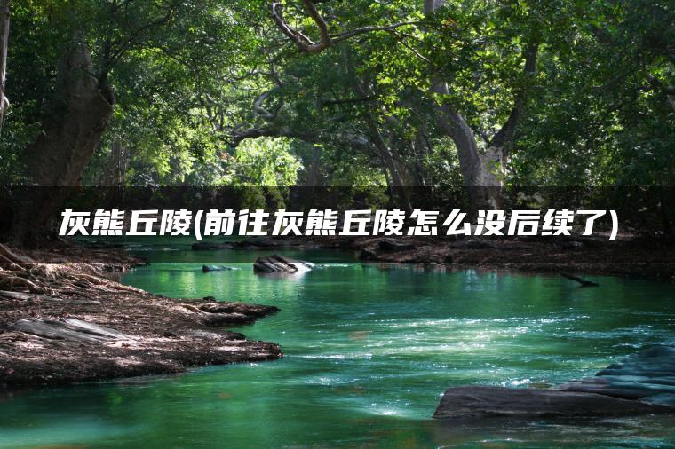 灰熊丘陵(前往灰熊丘陵怎么没后续了)