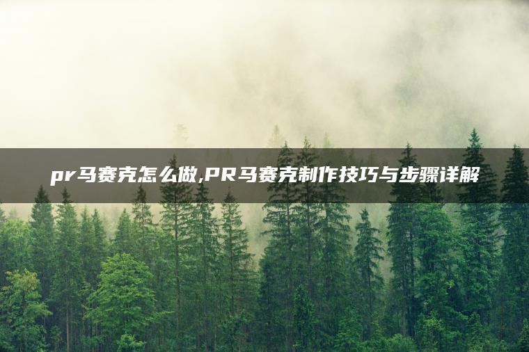pr马赛克怎么做,PR马赛克制作技巧与步骤详解