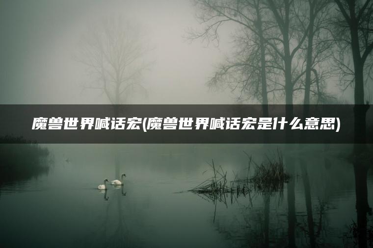 魔兽世界喊话宏(魔兽世界喊话宏是什么意思)