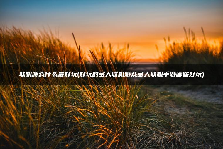 联机游戏什么最好玩(好玩的多人联机游戏多人联机手游哪些好玩)