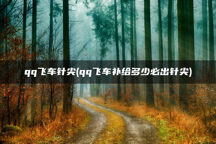 qq飞车针尖(qq飞车补给多少必出针尖)