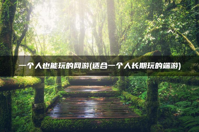 一个人也能玩的网游(适合一个人长期玩的端游)