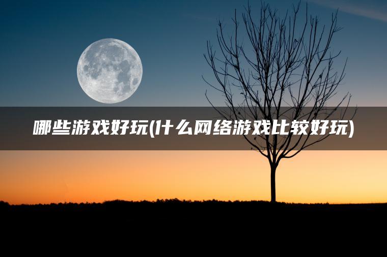 哪些游戏好玩(什么网络游戏比较好玩)