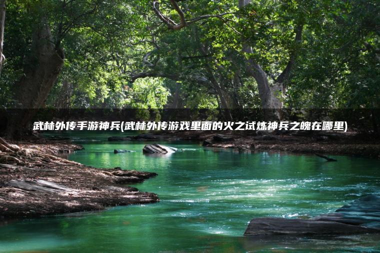 武林外传手游神兵(武林外传游戏里面的火之试炼神兵之魄在哪里)