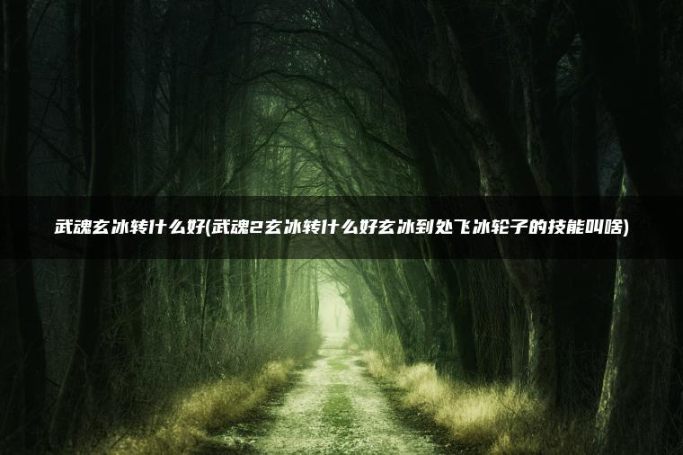 武魂玄冰转什么好(武魂2玄冰转什么好玄冰到处飞冰轮子的技能叫啥)