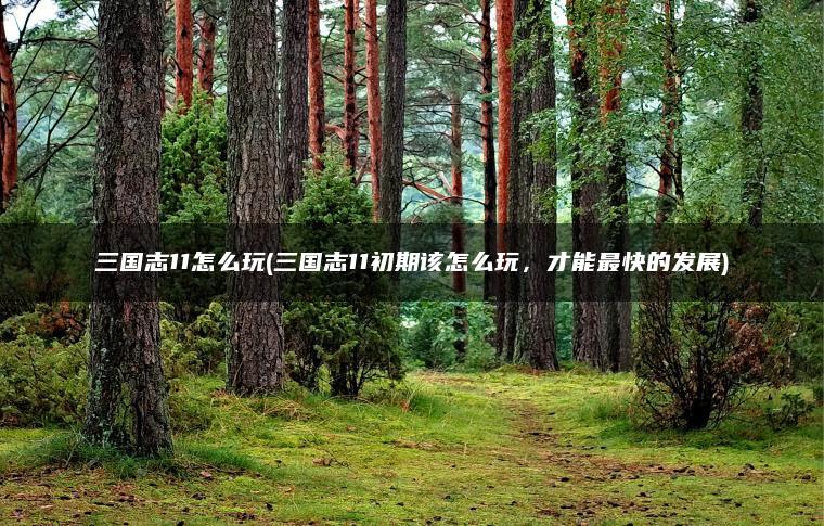 三国志11怎么玩(三国志11初期该怎么玩，才能最快的发展)