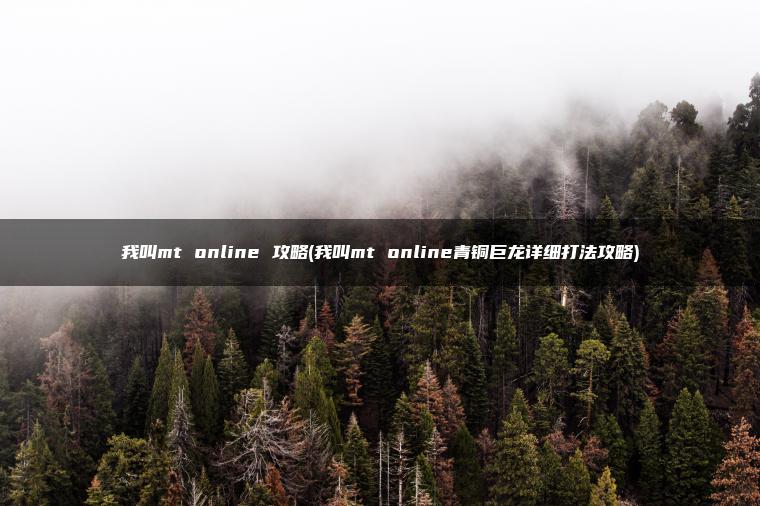 我叫mt online 攻略(我叫mt online青铜巨龙详细打法攻略)