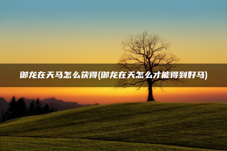 御龙在天马怎么获得(御龙在天怎么才能得到好马)