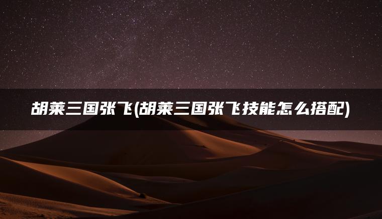 胡莱三国张飞(胡莱三国张飞技能怎么搭配)
