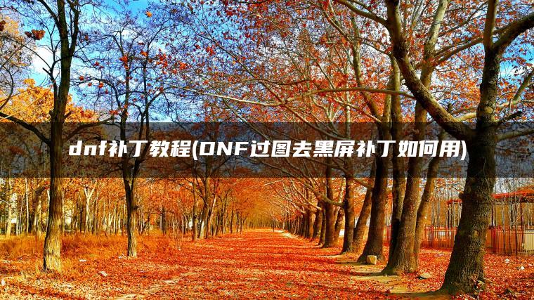 dnf补丁教程(DNF过图去黑屏补丁如何用)
