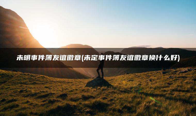未明事件簿友谊徽章(未定事件簿友谊徽章换什么好)