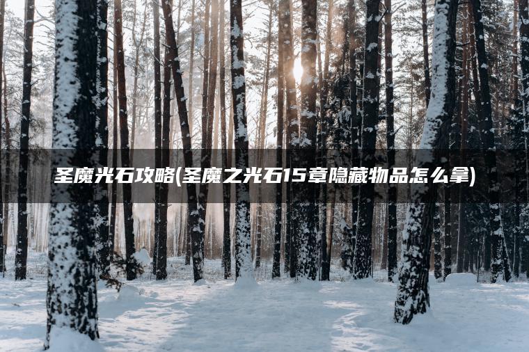圣魔光石攻略(圣魔之光石15章隐藏物品怎么拿)