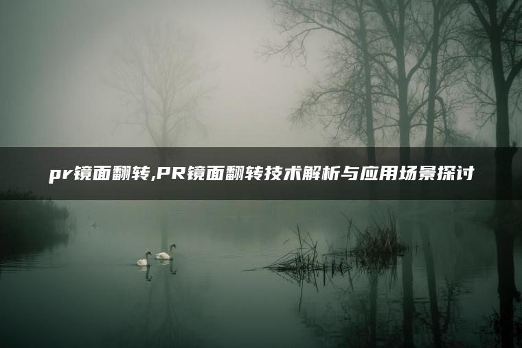 pr镜面翻转,PR镜面翻转技术解析与应用场景探讨