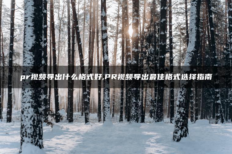 pr视频导出什么格式好,PR视频导出最佳格式选择指南
