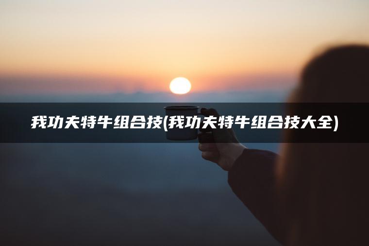我功夫特牛组合技(我功夫特牛组合技大全)